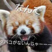 大貫 出勤しました。 鶯谷デッドボール