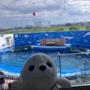 ヒメ日記 2025/08/23 17:12 投稿 りの クンニ専門店 おクンニ学園 池袋校