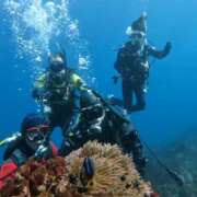 ヒメ日記 2026/01/25 15:38 投稿 シオン ソープランドMAX‐マックス- 浅草店