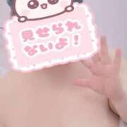 ヒメ日記 2025/08/15 19:47 投稿 まさみ 埼玉熊谷ちゃんこ