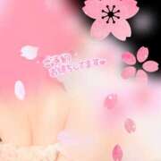 ヒメ日記 2026/03/10 09:41 投稿 ひろこ 美妻川越～熟女との時間～