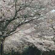 ヒメ日記 2026/04/06 19:35 投稿 ひろこ 美妻川越～熟女との時間～