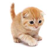 ヒメ日記 2025/08/01 19:16 投稿 広瀬（ヒロセ） アバンチュール(五反田)