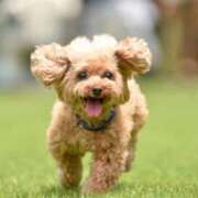 ヒメ日記 2025/11/01 08:16 投稿 広瀬（ヒロセ） アバンチュール(五反田)