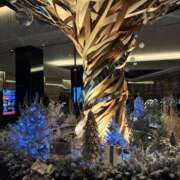 ヒメ日記 2025/12/17 18:16 投稿 広瀬（ヒロセ） アバンチュール(五反田)