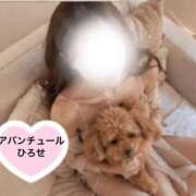 ヒメ日記 2026/07/14 08:31 投稿 広瀬（ヒロセ） アバンチュール(五反田)