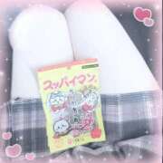 ヒメ日記 2025/09/29 17:14 投稿 おとか みつらん鉄道