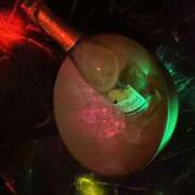 ヒメ日記 2025/07/30 18:04 投稿 もも クラブリリー