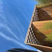 ヒメ日記 2025/10/15 14:40 投稿 もも クラブリリー