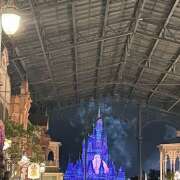 ヒメ日記 2025/10/23 15:36 投稿 もも クラブリリー