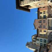 ヒメ日記 2025/11/19 16:24 投稿 もも クラブリリー