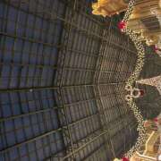 ヒメ日記 2025/11/20 14:14 投稿 もも クラブリリー