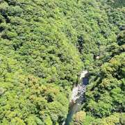 ヒメ日記 2025/11/23 14:44 投稿 もも クラブリリー