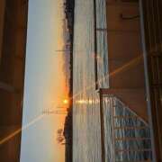 ヒメ日記 2025/12/28 13:10 投稿 もも クラブリリー