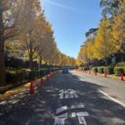 ヒメ日記 2025/11/18 09:24 投稿 ねねね MAHARAJA(マハラジャ)千葉