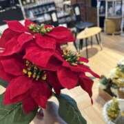 ヒメ日記 2025/08/02 01:37 投稿 まゆみ アイムシェイク