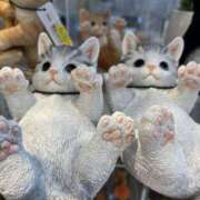 ヒメ日記 2025/08/02 22:15 投稿 まゆみ アイムシェイク