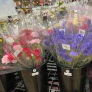 ヒメ日記 2025/08/10 05:21 投稿 まゆみ アイムシェイク