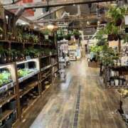 ヒメ日記 2025/08/10 10:15 投稿 まゆみ アイムシェイク