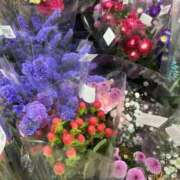 ヒメ日記 2025/08/11 09:57 投稿 まゆみ アイムシェイク