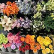 ヒメ日記 2025/08/16 15:42 投稿 まゆみ アイムシェイク