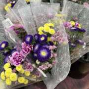 ヒメ日記 2025/08/17 04:59 投稿 まゆみ アイムシェイク