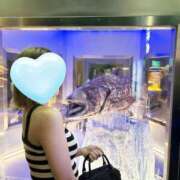 ヒメ日記 2025/08/02 14:23 投稿 門司まりえ THE痴漢電車.com