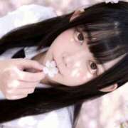 ヒメ日記 2026/03/28 09:29 投稿 ましろ☆ 粋美　suibi