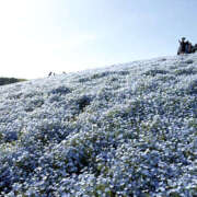 ヒメ日記 2026/04/26 18:13 投稿 ましろ☆ 粋美　suibi