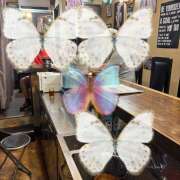 ヒメ日記 2025/08/11 10:42 投稿 桜木つばさ 赤羽Queen