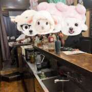 ヒメ日記 2025/11/02 11:02 投稿 桜木つばさ 赤羽Queen