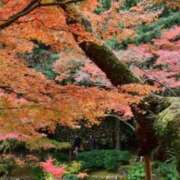 ヒメ日記 2025/11/18 16:35 投稿 大城沙良(おおしろさら) Montrachet(モンラッシェ)