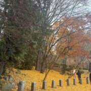 ヒメ日記 2025/12/06 07:45 投稿 大城沙良(おおしろさら) Montrachet(モンラッシェ)