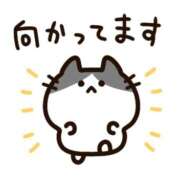 ヒメ日記 2025/08/02 14:40 投稿 りりか 素人妻御奉仕倶楽部Hip's松戸店