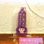 ヒメ日記 2025/11/17 09:09 投稿 りりか 素人妻御奉仕倶楽部Hip's松戸店