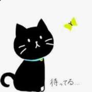 ヒメ日記 2026/04/22 13:19 投稿 りりか 素人妻御奉仕倶楽部Hip's松戸店