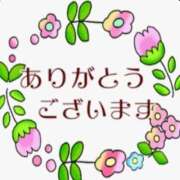 ヒメ日記 2026/08/07 19:29 投稿 りりか 素人妻御奉仕倶楽部Hip's松戸店