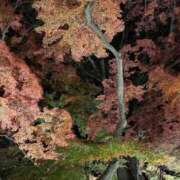 ふみ ライトアップ 太田人妻城