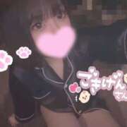 ヒメ日記 2026/03/08 12:04 投稿 ゆる The White