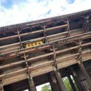 ヒメ日記 2025/11/12 17:15 投稿 市琉～いちる～ ニューハーフヘルス シーメールレジェンド 新宿 歌舞伎町店