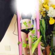 ヒメ日記 2025/09/26 20:41 投稿 夏川 Mrs治療院