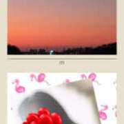 ヒメ日記 2026/02/14 09:10 投稿 つきの［神奈川］ 奥鉄オクテツ東京店（デリヘル市場）