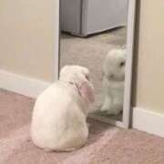 ヒメ日記 2025/12/13 23:32 投稿 みおり マリン千葉店