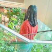 ヒメ日記 2026/03/15 06:52 投稿 ななせ ハピネス福岡