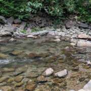 ヒメ日記 2025/08/31 11:00 投稿 高橋りほ イエスグループ熊本 華女