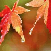 ヒメ日記 2025/11/25 08:38 投稿 高橋りほ イエスグループ熊本 華女