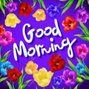 ヒメ日記 2025/09/06 08:05 投稿 みさ 奥鉄オクテツ大阪