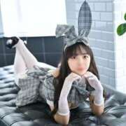 Corone できたみたい?? PROPORTION