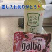 ヒメ日記 2025/10/11 15:01 投稿 さら⭐️巨乳×マシュマロ肌⭐️ ぴゅあぱい熊本♡ぽちゃかわ巨乳専門♡誠実すぎる風俗♡返金保証店♡