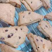 ヒメ日記 2025/09/29 11:28 投稿 ゆい♡キス魔で甘えん坊な癒し系♡ ぴゅあぱい熊本♡ぽちゃかわ巨乳専門♡誠実すぎる風俗♡返金保証店♡